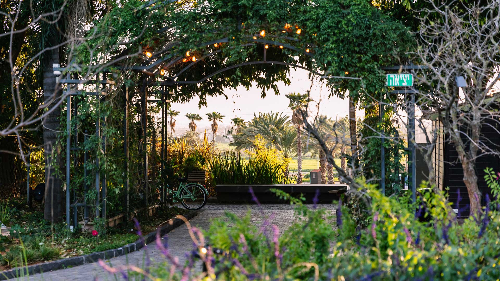 An entrance gate to the event garden made of iron wrapped in vegetation and lighting through which date trees can be seen