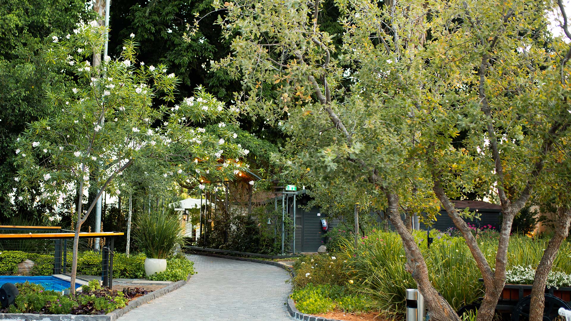 A paved access route at the entrance to the event garden surrounded by greens and flowering trees
