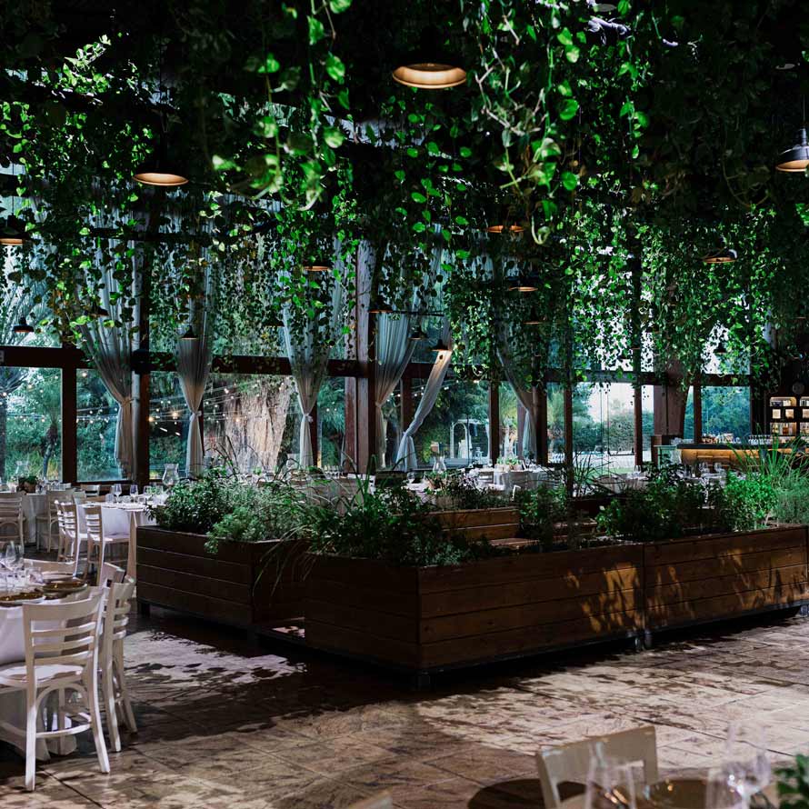Wooden planters with hydroponic vegetation in the transparent ballroom