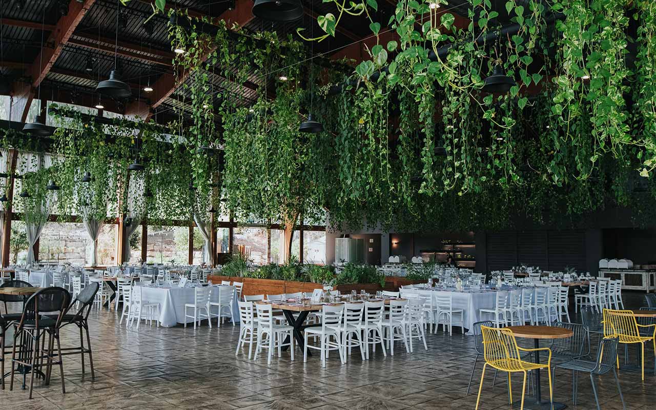 צמחיה הידרופונית שופעת תלויה מהתקרה מעל שולחנות ערוכים לאירוע באולם השקוף