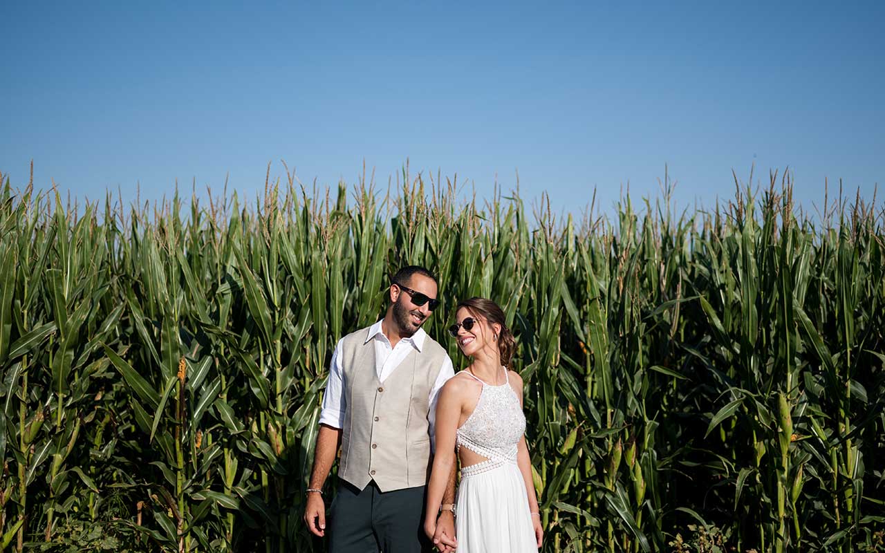 חתן וכלה עם משקפי שמש על רקע שדה תירס