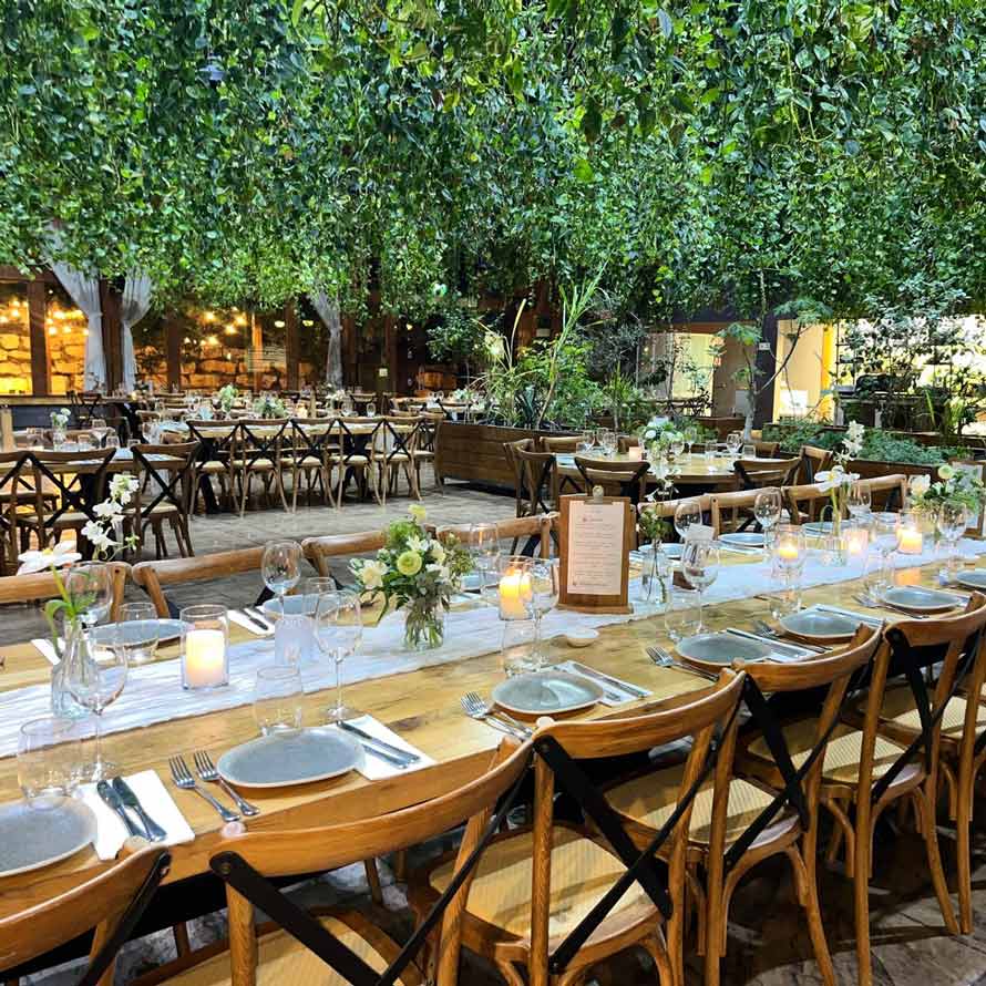 IMG-20250401-WA0011 אולם אירועים בעיצוב טבעי עם צמחייה ירוקה המשתלשלת מהתקרה, שולחנות עץ ארוכים ערוכים בקפידה עם נרות, פרחים עדינים וכוסות יין. תאורה חמימה יוצרת אווירה אינטימית ואלגנטית.