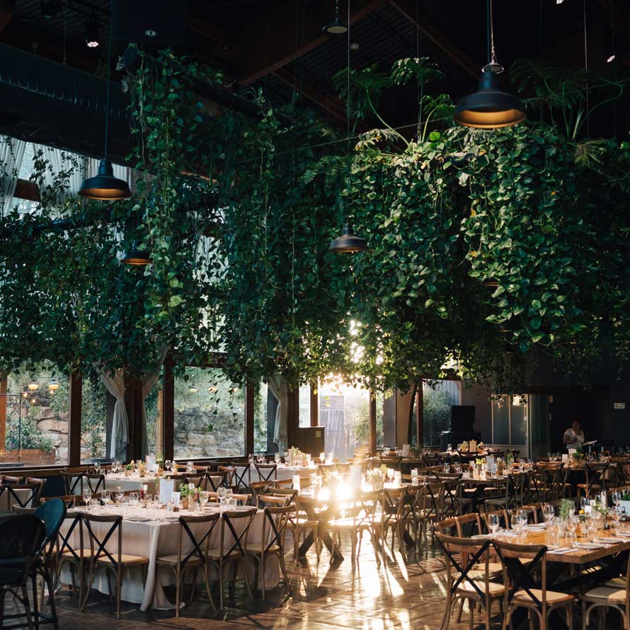 אווירה(29)שחר-וין אולם אירועים רחב עם שולחנות ערוכים ומעוצבים, צמחייה ירוקה תלויה מהתקרה ואור שמש חמים החודר דרך חלונות גבוהים – שילוב של טבע, אלגנטיות ואווירה מזמינה.